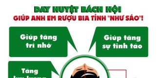 meo-chua-say-ruou-bang-huyet-bach-hoi