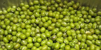 cach-nau-ruou-do-xanh-tai-nha