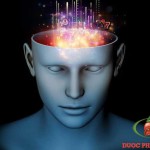 tai-sao-ban-khong-nho-gi-sau-khi-uong-ruou-say-4