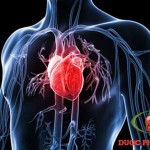 ruou-bia-lam-men-gan-tang-cao